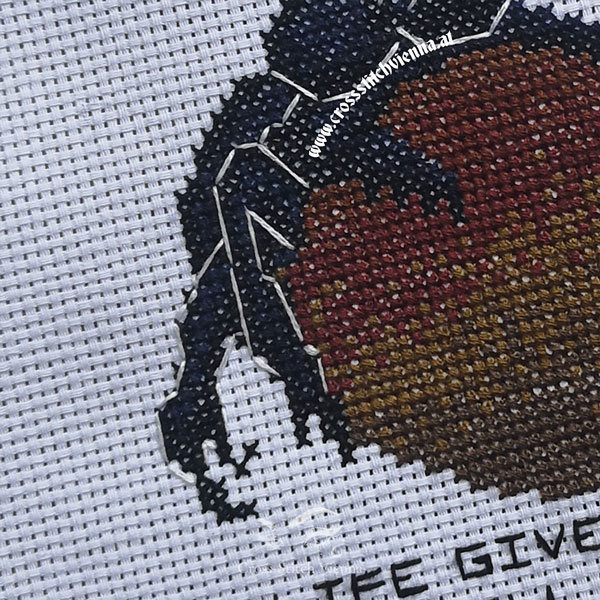 Dung Beetle Cross-Stitch - Finish Close-up