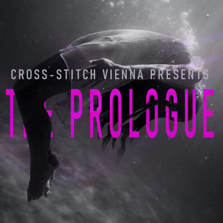 NEW Cross-Stitch Vienna Video 👀